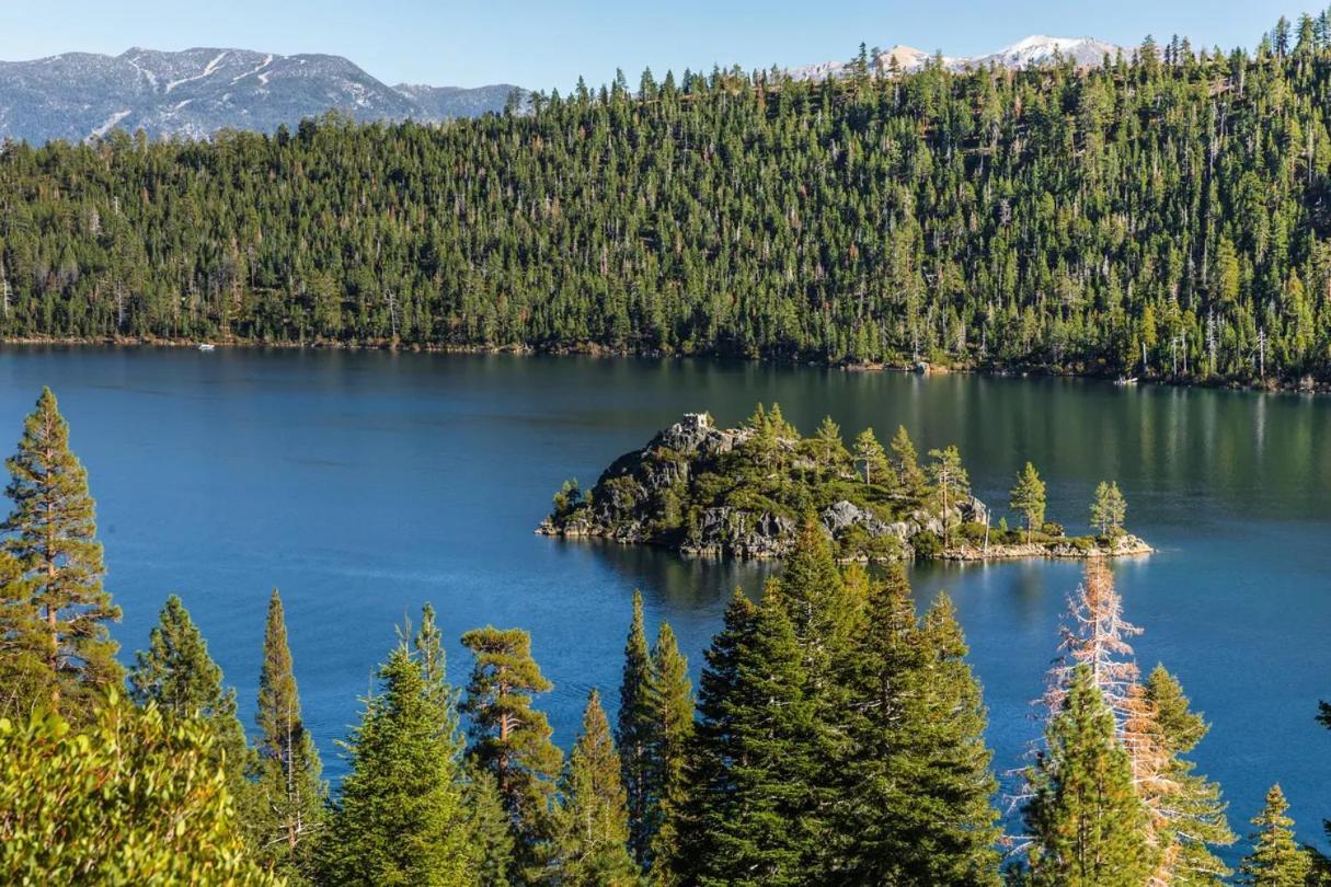 Marriott'S Timber Lodge South Lake Tahoe Eksteriør bilde